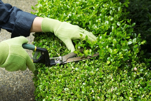 Minneapolis Commercial Landscaping